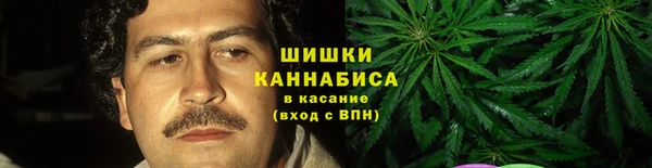 ECSTASY Болотное