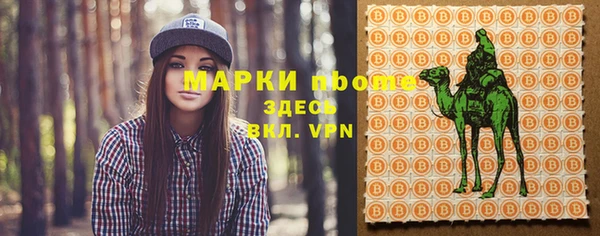 шишки Приозерск