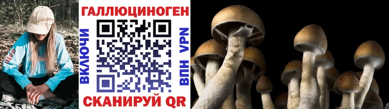 KRAKEN зеркало купить наркоту Анапа Псилоцибиновые грибы MAGIC MUSHROOMS