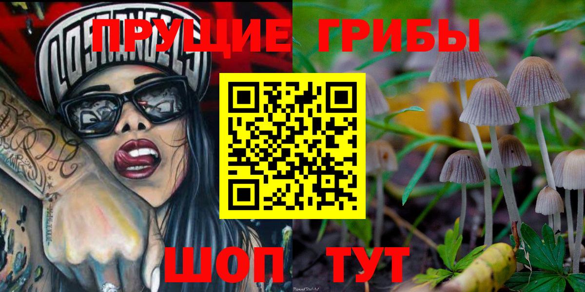 Анапа  Галлюциногенные грибы Psilocybine cubensis  Псилоцибиновые грибы Cubensis  Вход с VPN 
